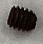 SET SCREW